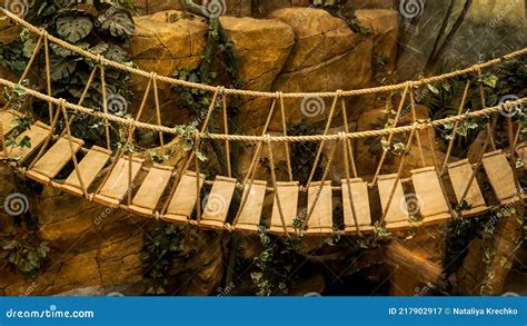 Adventure Wooden Rope Jungle Suspension Bridge Stock Image ...