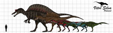 Spinosauridae - Dinopedia - the free dinosaur encyclopedia - Wikia