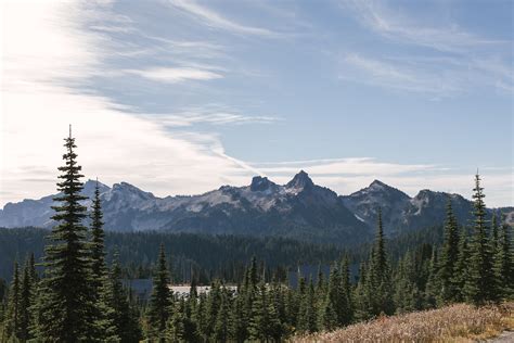 Green Pine Trees Across Mountains · Free Stock Photo