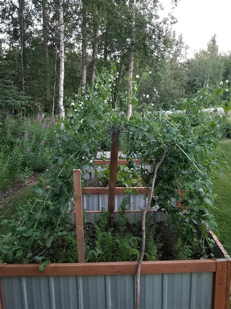 Alaska Garden Climate Zones – Alaska Master Gardener Blog