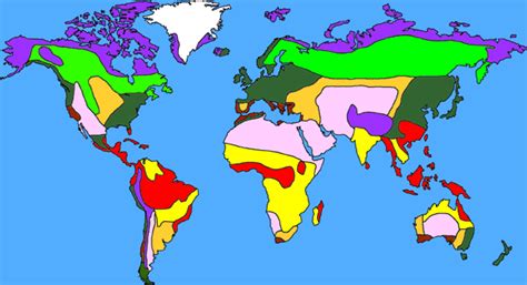 Temperate deciduous forest - Wikipedia