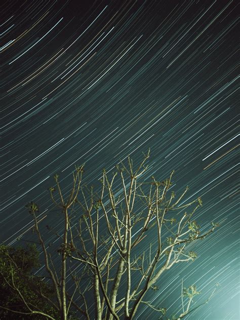 Star Trails Photos, Download The BEST Free Star Trails Stock Photos ...