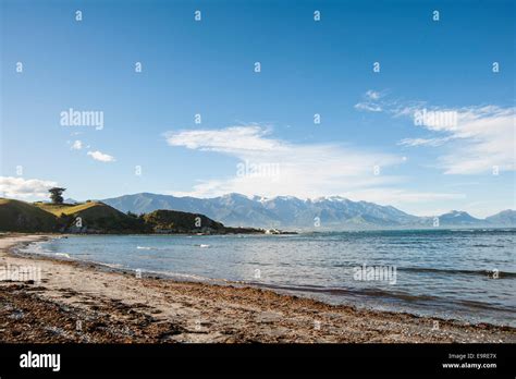 Beach on the south island, New Zealand Stock Photo - Alamy