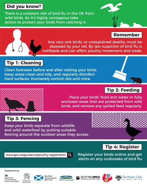 Avian Influenza (Bird Flu) | British Hen Welfare Trust