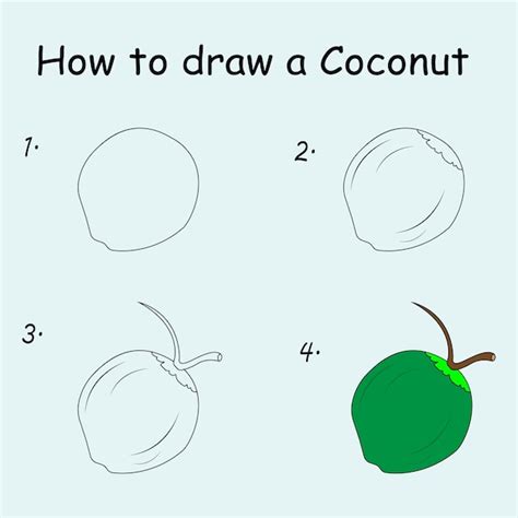 Premium Vector | Step by step to draw a coconut. drawing tutorial a ...