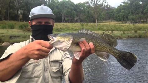 Murray river cod fishing NSW - YouTube
