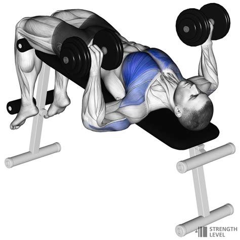 Decline Dumbbell Bench Press Standards for Men and Women (lb ...