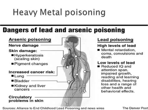 #1 Heavy Metal Detox - Best Brain & Body Heavy Metal Cleanse