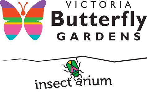 VICTORIA BUTTERFLY GARDENS | Visitor In Victoria