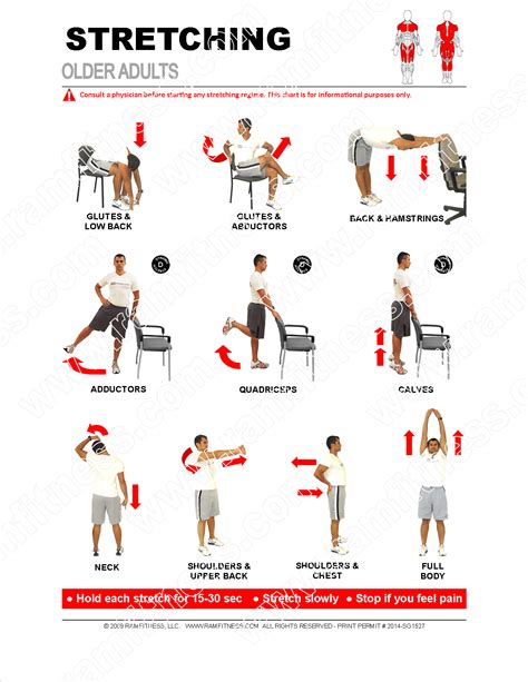 Hamstring stretches for seniors pdf – NSPDD