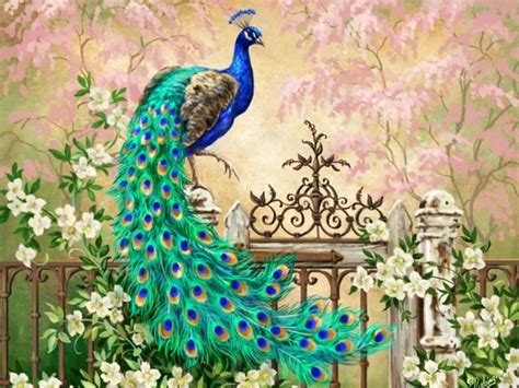 Download Peacock Wallpaper In High Resolution - Free New Wallpapers | HD High Quality Motion
