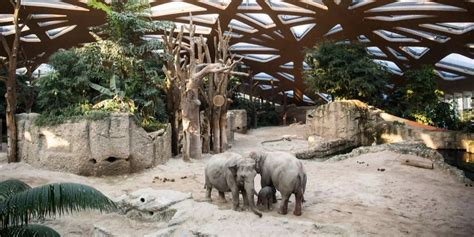 Zoo Zürich mit 1,2 Millionen Besucher