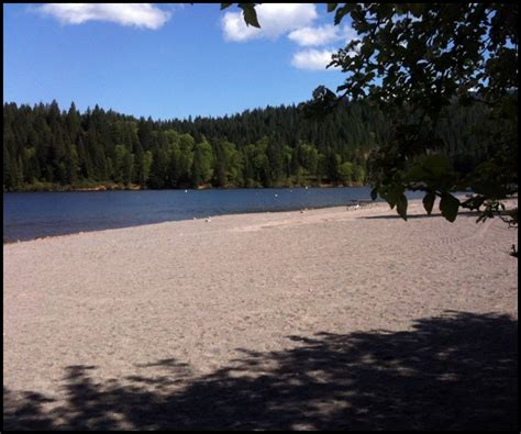 Siskiyou County Camping: Lake Siskiyou Camp