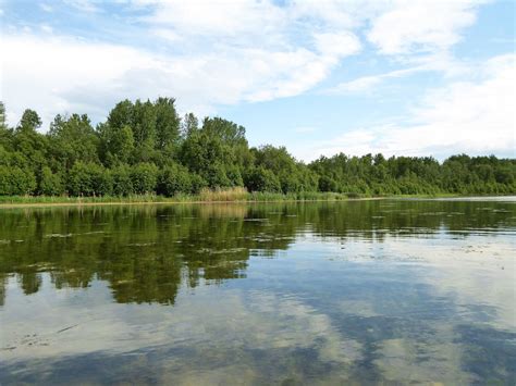 North Buck Lake (2015-06-21) 72 | Canadian nature, Lake, Landscape