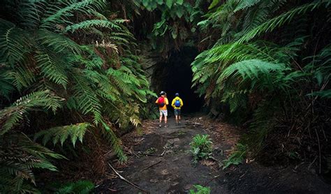 Wollemi National Park | NSW National Parks