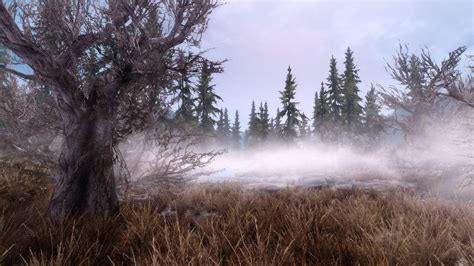 Skyrim Morthal Swamp at Skyrim Nexus - mods and community