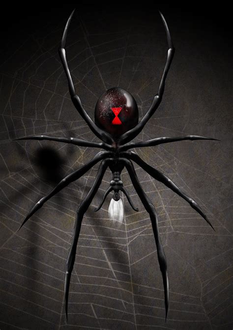 Black Widow Spider Wallpapers - Wallpaper Cave