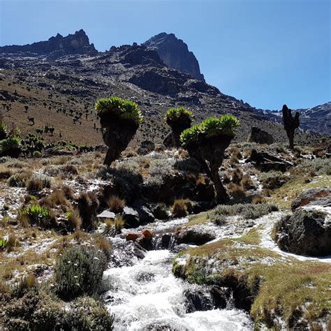 mount kenya summit 24 - Mount Kenya Climbing, trekking Mount Kenya