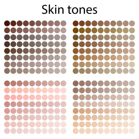 Skin Tone Chart Stock Photos, Pictures & Royalty-Free Images - iStock