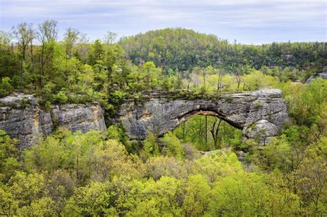 Find Big South Fork National River and Recreation Area, KY Hotels ...