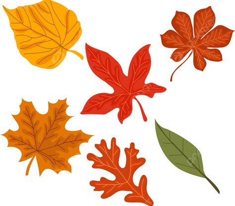 Cute Autumn Leaves Vector, Autumn, Leaf, Fall PNG and Vector with ...