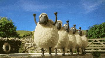 Jumping Sheep GIFs - Find & Share on GIPHY