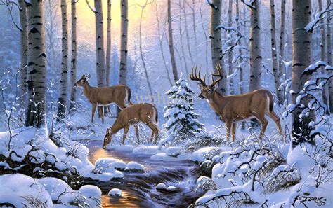 Deer In Woods Painting at PaintingValley.com | Explore collection of ...