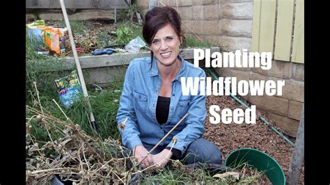 How to Plant Wildflower Seed for Early Spring Flowers - YouTube