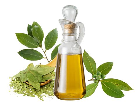 How to Make Bay Leaf Oil at Home - 7 Amazing Health Uses