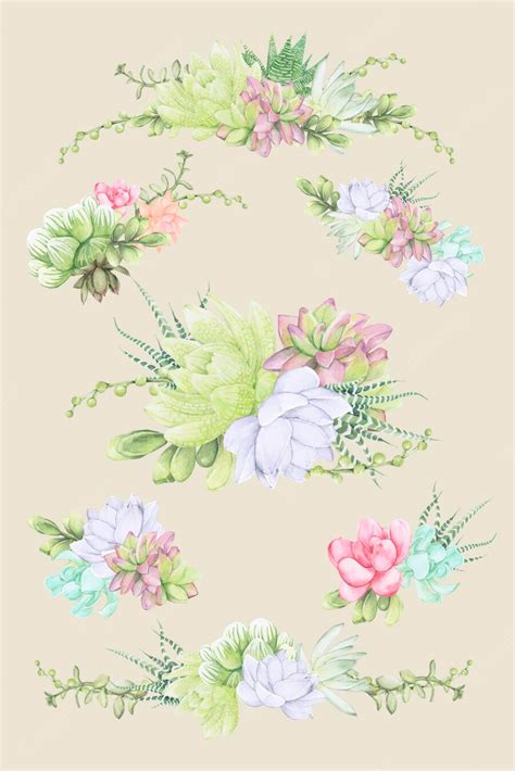 Premium Vector | Hand drawn succulent design elements vector set