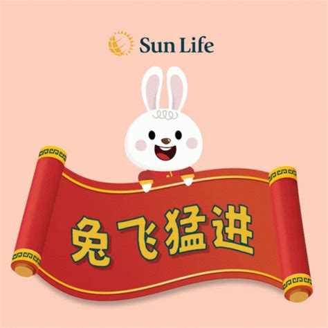 Year Of The Rabbit 2023 GIF - Year Of The Rabbit 2023 Fortune Rabbit ...
