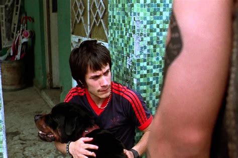 "Amores Perros" Analysis and Review: In His Debut Feature Film "Amores ...