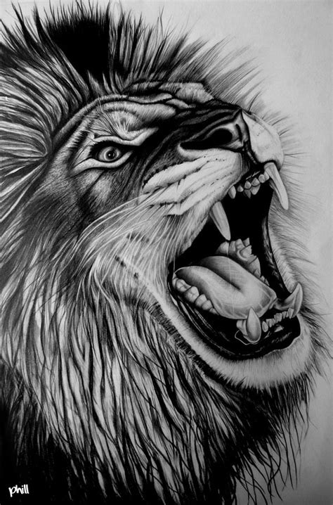 Graphite Pencil Drawing - Lion by fungidesignz on DeviantArt