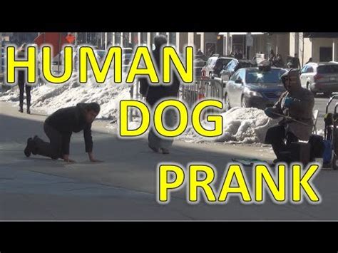 Human Dog Prank - YouTube