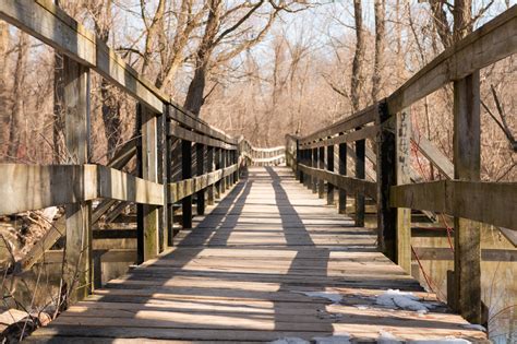 Browse Free HD Images of Rickety Wooden Bridge Surrounded By Trees