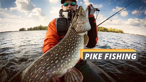 Pike Fishing Guide for Beginners - Fished That