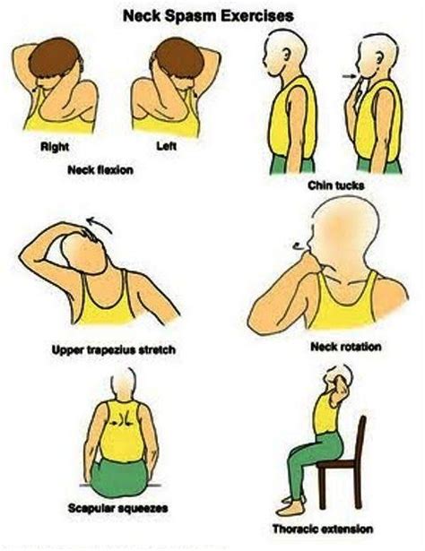 EXERCISE FOR NECK MUSCEL SPASM | Physical therapy exercises, Physical therapy, Scoliosis exercises