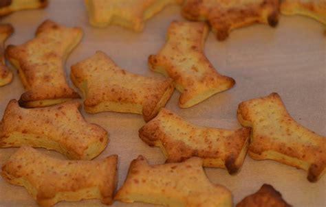 Homemade dog biscuit recipe - Cheese and Parmesan dog biscuits