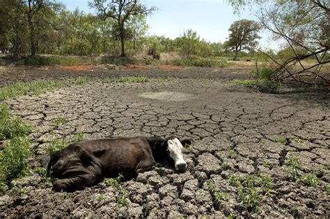 Texas Drought 2011 – Collective Vision | Photoblog for the Austin ...