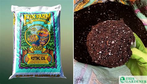 Best Soil For Tomatoes In Grow Bags: 6 Soil Types Revealed