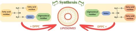 Conjugates of 1,3‐ and 1,2‐Acylglycerols with Stigmasterol: Synthesis, NMR Characterization, and ...