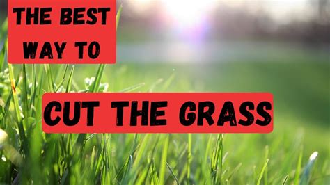 BEST WAY TO CUT THE GRASS - Just in time for summer lawn mowing - YouTube