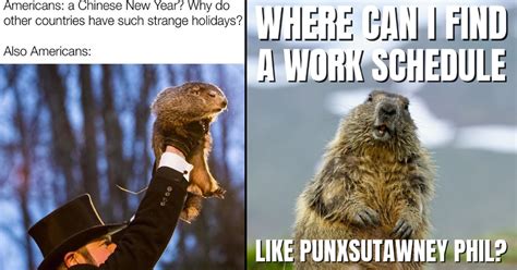 Punxsutawney Phil Memes 2024 - Sibel Marlie