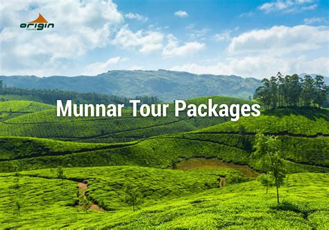 Munnar Tour Packages from Chennai – Tour packages in chennai honeymoon ...