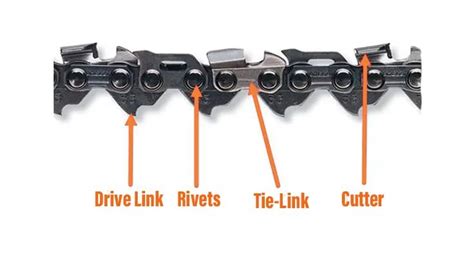 four different types of chains are labeled in the diagram, and each has ...