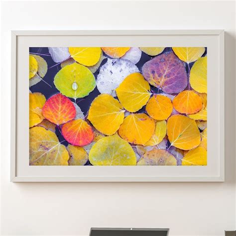 Aspen Leaves Art - Etsy