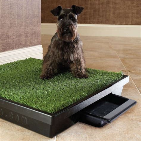 8930 large porch potty standard | Indoor dog potty, Dog potty, House training dogs