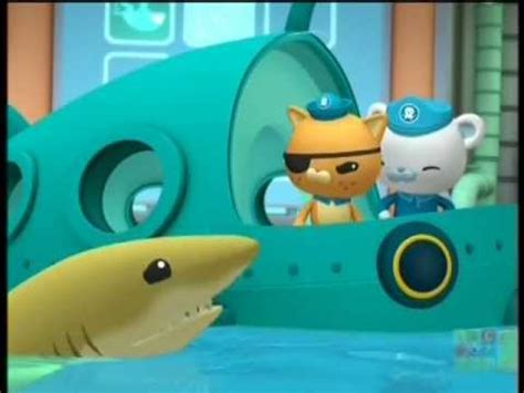 The Lost Lemon Shark | Octonauts Wiki | Fandom powered by Wikia