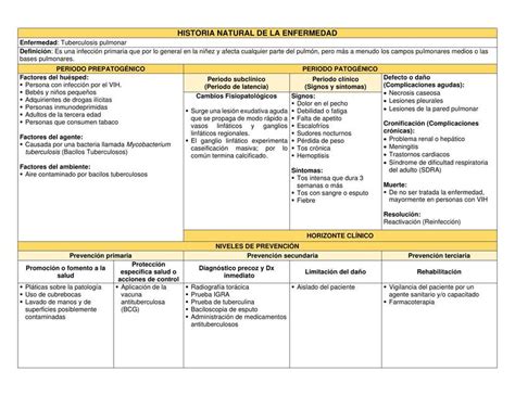 Historia Natural de la Tuberculosis Pulmonar | Enfermedades | Medicina | uDocz