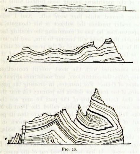 Scientific Illustration | Scientific illustration, Illustration, Landscape quilt